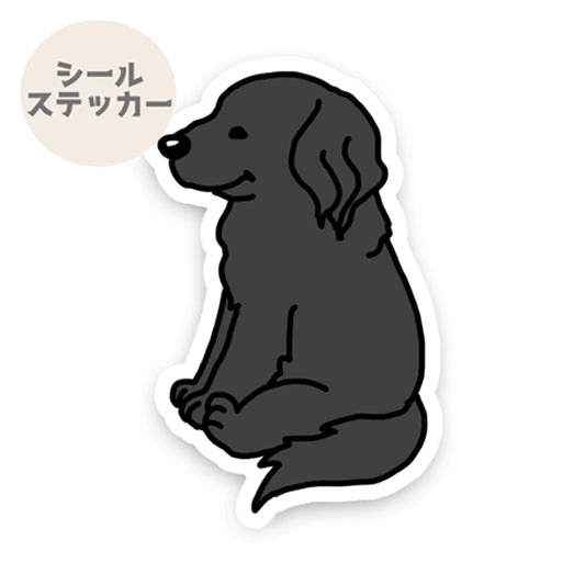 オスワリフラッティーちゃん。91-