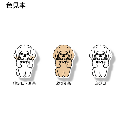 マルプー。111-1