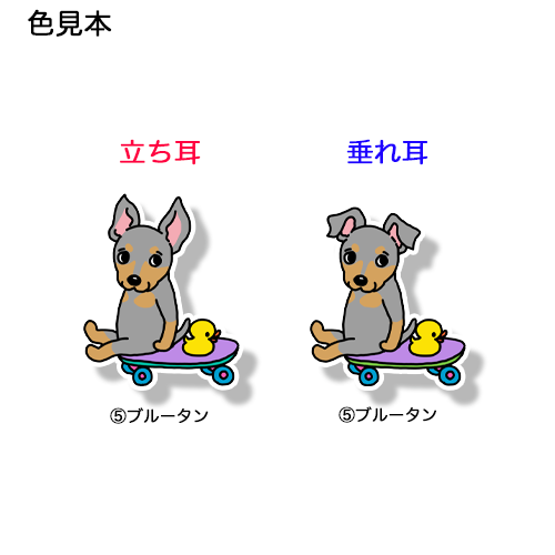 誰か来ないかなーって待ってるミニピンちゃん。113-8