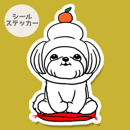 鏡餅マルチーズちゃん。109-30