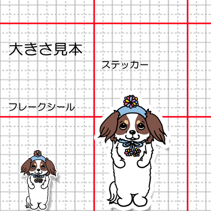 ポンポン帽子のチワックスちゃん。60-5