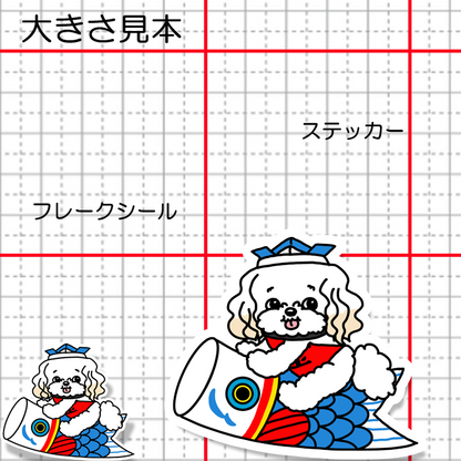 端午の節句のマルプーちゃん。111-14