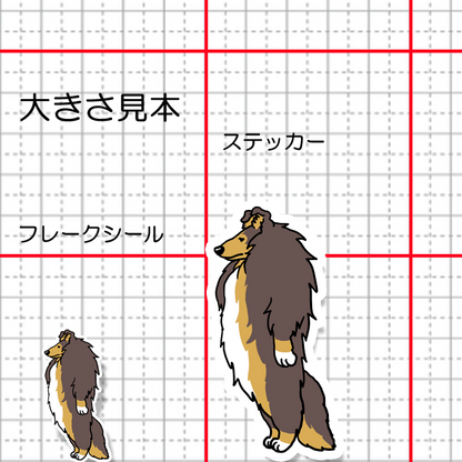 立ってるだけで名犬のラフコリーさん。116-5