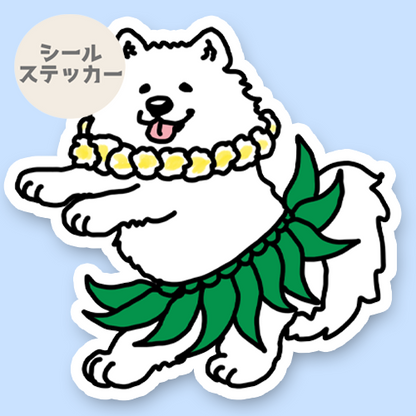 フラサモエドさん。33-15