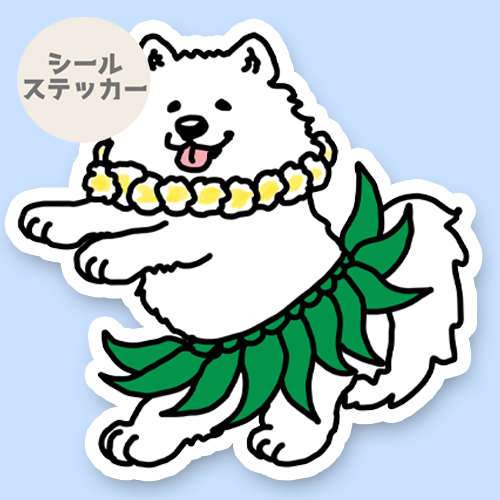 フラサモエドさん。33-15