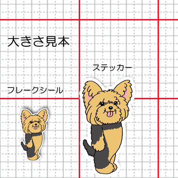 これからトリミングのヨーキーちゃん。114-12
