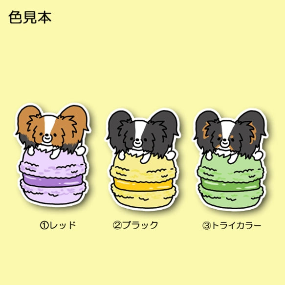 マカロンとパピヨンちゃん。80-
