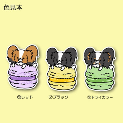 マカロンとパピヨンちゃん。80-