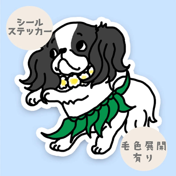 フラしてる狆ちゃん。66-18