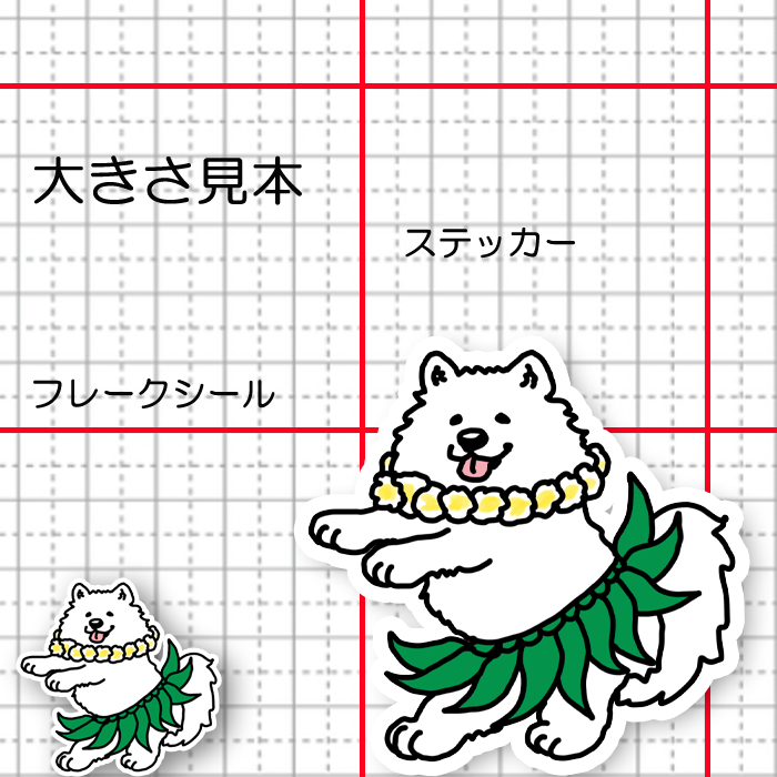 フラサモエドさん。33-15