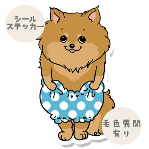 おパンツはけたポメチワちゃん。102-6