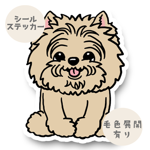 おすわりしてるケアーンテリアちゃん。29-8