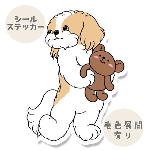 おかえり！って言ってるマルシーズーちゃん。108-6