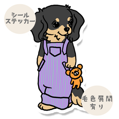 オーバーオールのチワックスちゃん。60-6