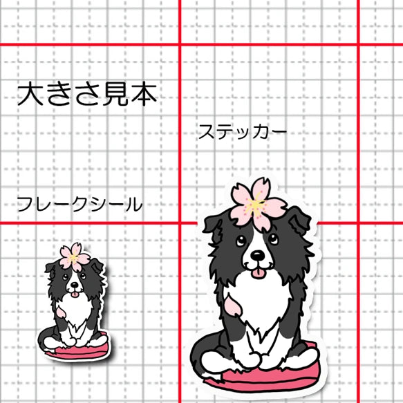 ボーダーコリーちゃんの春のご挨拶。106-