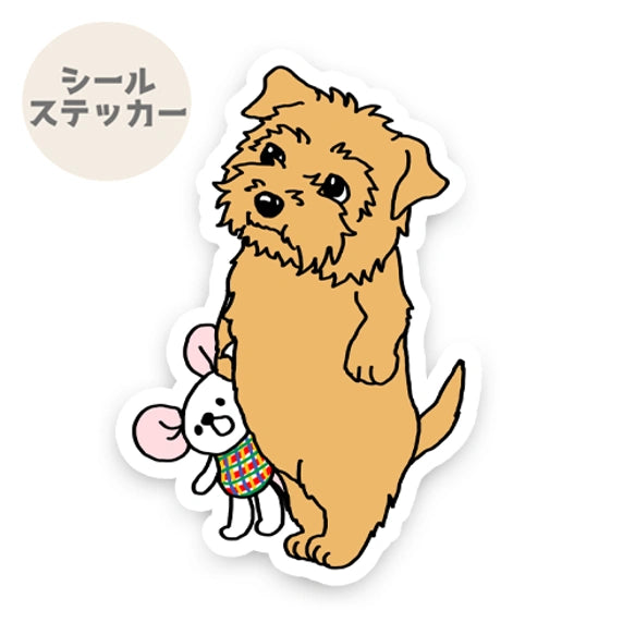 おりこうさんでお留守番してるノーフォークテリアちゃん。73-
