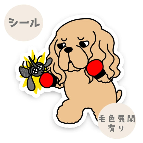 アメコカちゃんのフィラリア予防。5-2