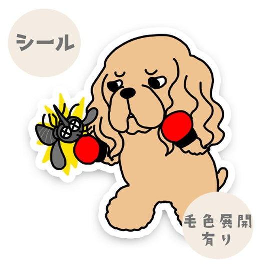 アメコカちゃんのフィラリア予防。5-2