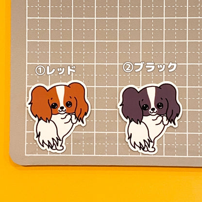おねだりパピヨンちゃん。80-