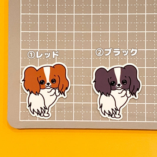 おねだりパピヨンちゃん。80-