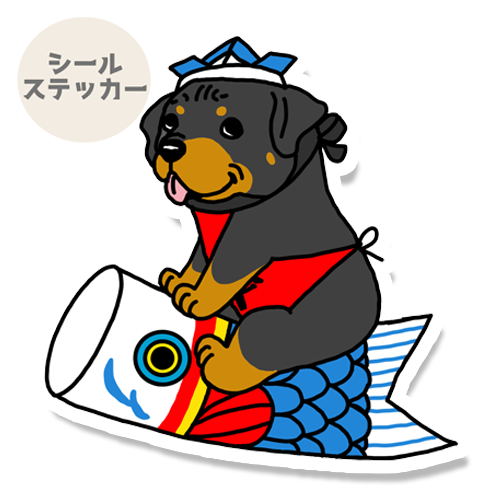 端午の節句のロットワイラーさん。121-9