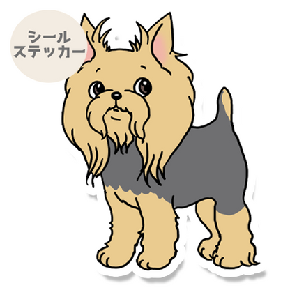 お買い物に付き合ってるヨーキーちゃん。114-30