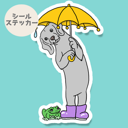 梅雨の日のお散歩で出会ったワイマラナーさん。123-9