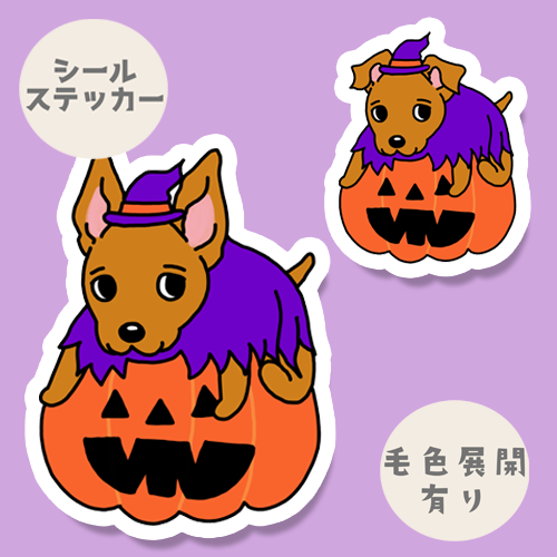 オバケカボチャとミニピンちゃん。113-11
