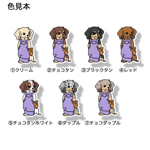 オーバーオールのチワックスちゃん。60-6