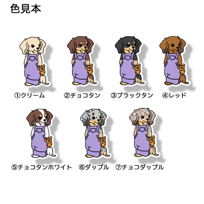 オーバーオールのチワックスちゃん。60-6