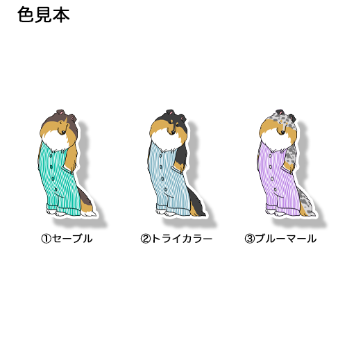 オーバーオールのラフコリーさん。116-6