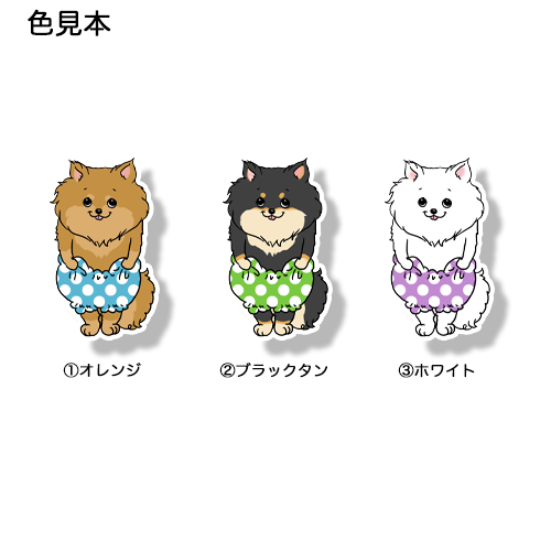 おパンツはけたポメチワちゃん。102-6