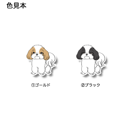 何か買ってもらえるの待ってるシーズーちゃん35-30