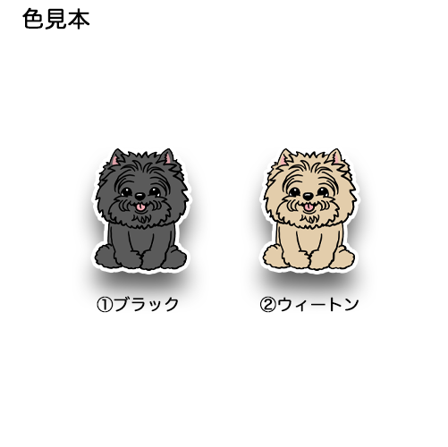 おすわりしてるケアーンテリアちゃん。29-8