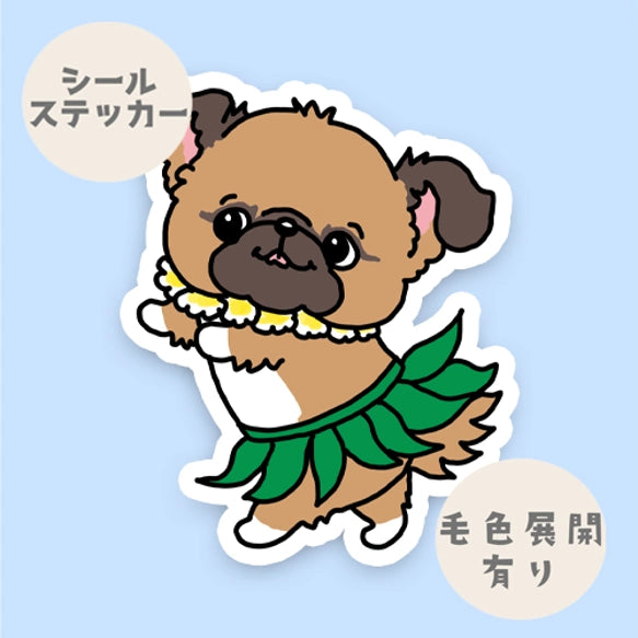 フラチワペキちゃん。62-8