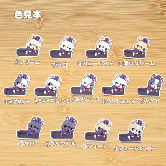 棺桶から出てくるドラキュラフレブルちゃん。96−321