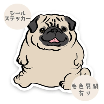 ポテッとパグちゃん。76-