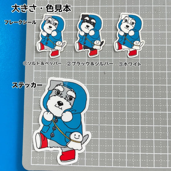 晴れてほしいシュナウザーちゃん。44-8