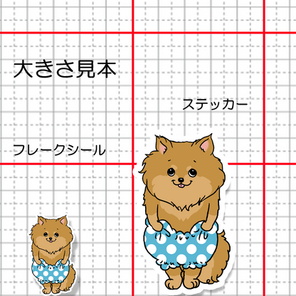 おパンツはけたポメチワちゃん。102-6