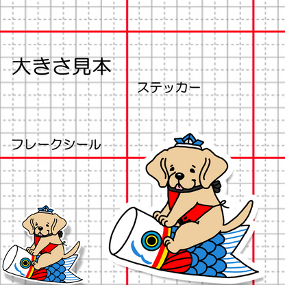 端午の節句のラブラドールさん。117-29
