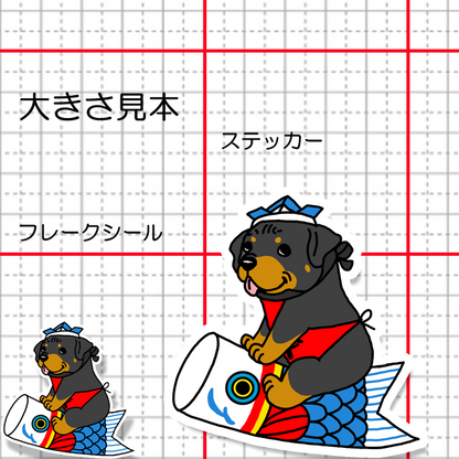 端午の節句のロットワイラーさん。121-9