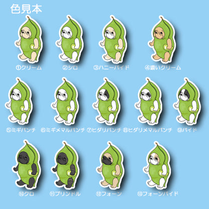 えだまめのフレブルちゃん。96−515