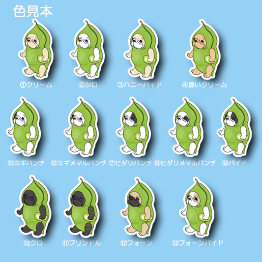 えだまめのフレブルちゃん。96−515