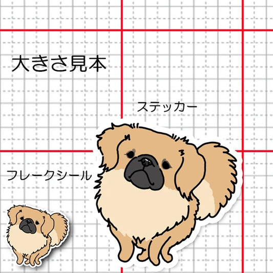 チベタンスパニエルちゃん。55-1