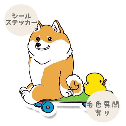 誰かと遊べるの待ってるシバちゃん。39-24