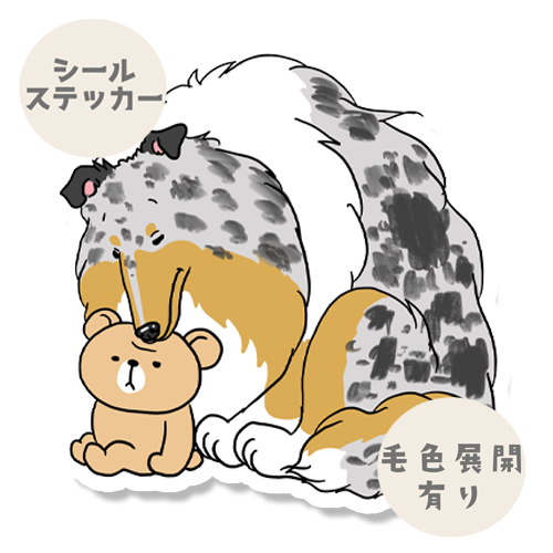 クマのぬいぐるみがお気に入りのラフコリーさん。116-7