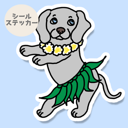 フラワイマラナーさん。123-10