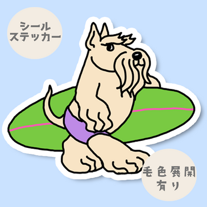 サーファースコッティちゃん。46-7