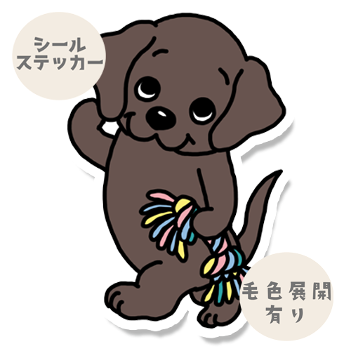 あそぼーって言ってるラブラドールちゃん。117-8