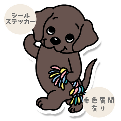 あそぼーって言ってるラブラドールちゃん。117-8
